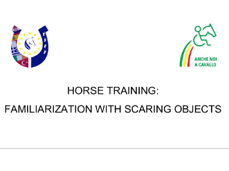 Horse Training